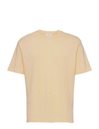 Circo Cream Mango