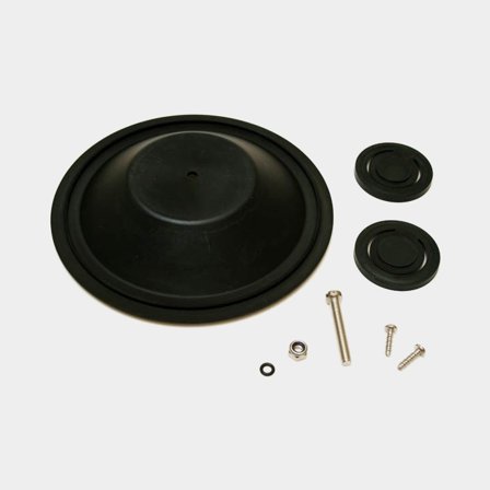 Major service kit 29250