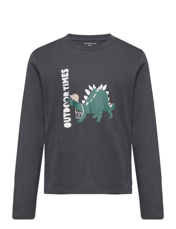 Printed Longsleeve T-shirts Long-sleeved T-shirts Grå Tom Tailor*Betinget Tilbud