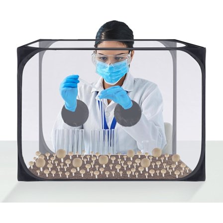 Svamp Still Air Box - Hopfällbart Svampodlings Tält (90 x 60 x 60 cm)