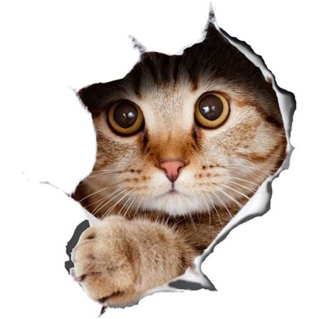 3D-kattklistermärken 2-pack - Kattklistermärken för väggar, kylskåp, toaletter