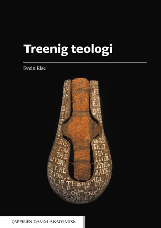 Treenig teologi - Bok av Svein Rise - Paperback