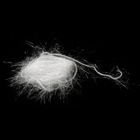 Polar Chenille - Clear