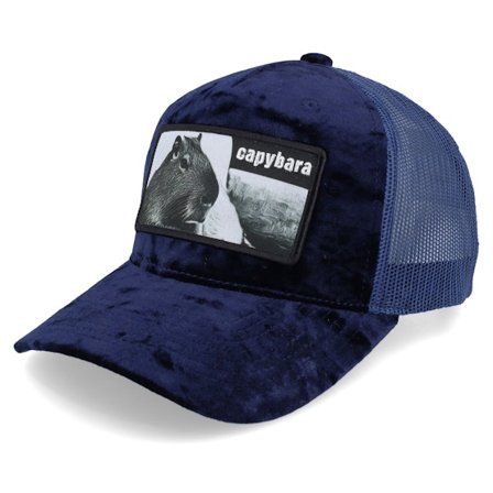 Iconic - Blå trucker Keps - Capybara Sofa Navy Velvet Trucker @ Hatstore