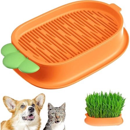 Kattegræs Vækstsæt, Vindue Have Kit, Hydroponics Kattegræs Kasse, Kattegræs Spirebakke, Hydroponisk Plantekasse Til Katte Hunde