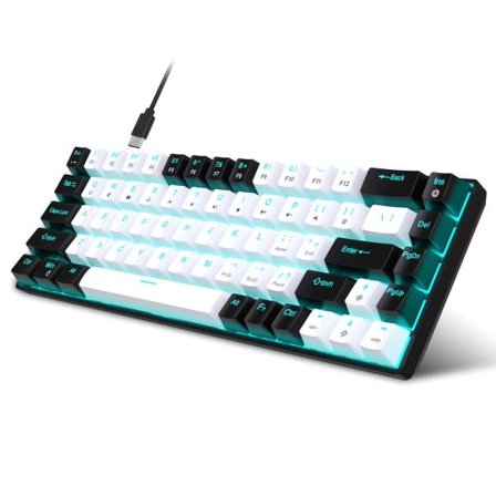 68 Keys Mekaniskt Tangentbord Ergonomi RGB Bakgrundsbelyst LED Hot Swappable Blå Switch Gaming Tangentbord för PC Bärbar dator Kontor