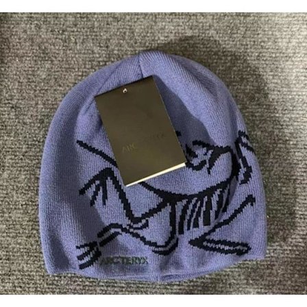 ARC'TERYX Lue Herre Casual Varm Vinter Skilue