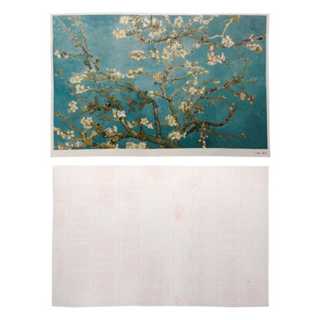 Laptop Sticker Notebook Skin Cover Sommar Trendig Konstdesign Universal Notebook Skin Protector Klippbar för 12-17 tum