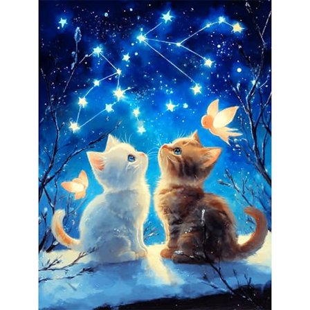 30x40cm Diamant Maleri DIY Fuld Diamant 5D Selvlysende Dekorativt Maleri - YL307