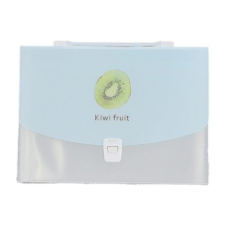 Udvidende Filmappe, A4 Dokument Organiser, Plastik Accordion Filmappe