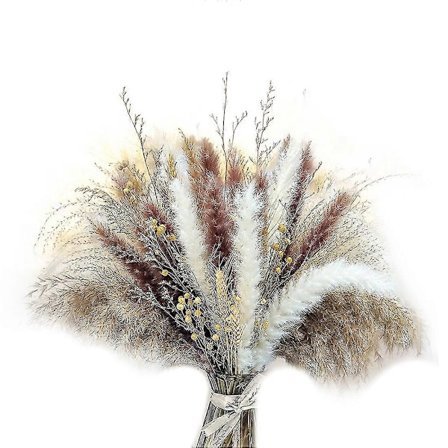 Pampasgræs, Tørret Pampasgræs Buket, Naturlig Pampasgræs Dekoration Til Boligindretning Bryllupsblomst
