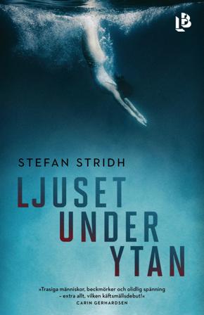 Ljuset under ytan - Bok av Stefan Stridh - Inbunden