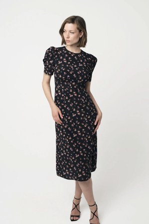 Noah Phyllis Black S