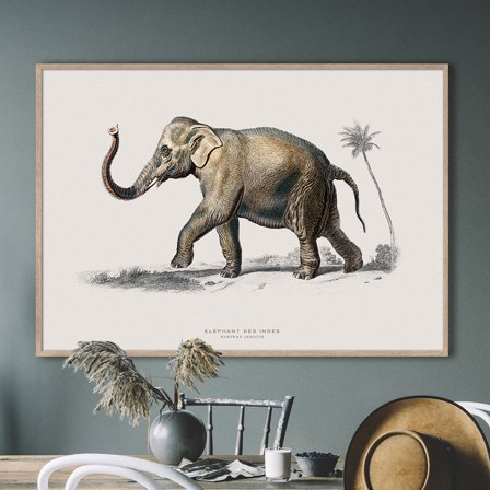 Elefant — Plakat med flot illustration af dyr fra Nature Remixed by Gehalt