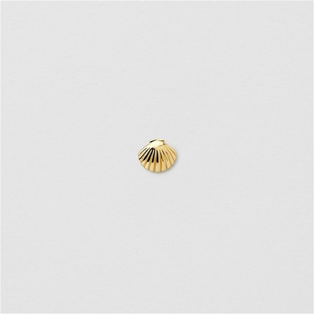 Shell Piercing