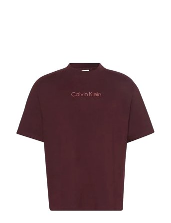 Calvin Klein | Ss Standard Logo 30S Crewnk Tee | S