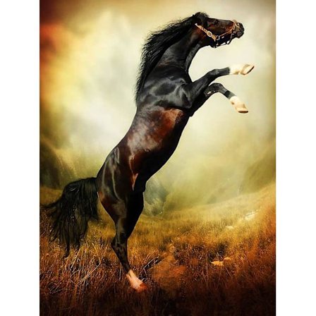 Dww-30x40 cm 5D DIY Fuld Diamantmaleri, Løb Hest Diamantmaleri DIY Diamant Strass Lærred Korssting Maleri efter Nummer til Dekora