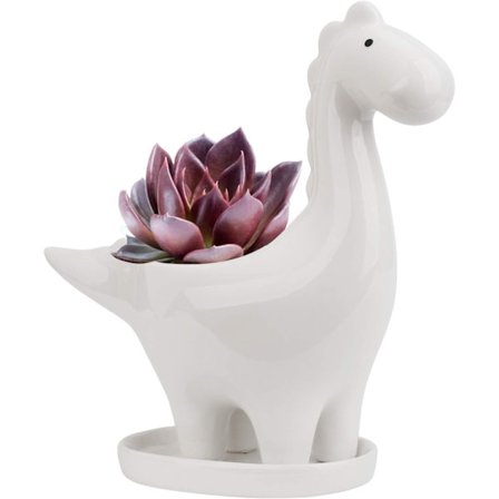 (Plante ikke inkludert) Keramisk blomsterpotte med skål - Hvit, Dinosaurformet kaktusblomsterpotte, Mini innendørs plantepotte, Gave, Dekorativ Bonsai