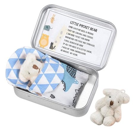 Mini Teddybjørn i en boks - Plysj Lommebjørn for angst, stress og bekymring - Små utstoppede bjørner i en eske med kort og tepper for babyshower
