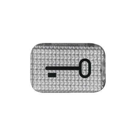 ABB 2145TR Vindu for strømstiller, med nøkkelsymbol, Strømbrytere & vegguttak