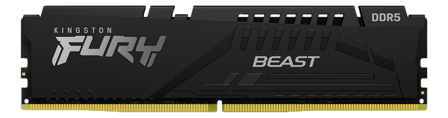 Kingston FURY Beast 16GB 5600MHz DDR5 (1x 16GB) CL40-40-40, 1.25V