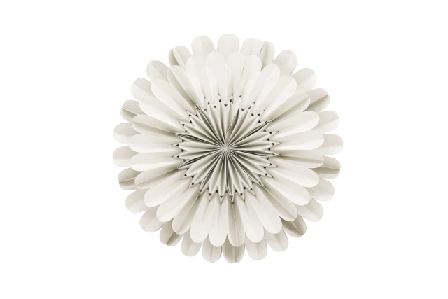 Venture Home Järvsön Adventsstjärna Julbelysning Unisex Beige 60 cm