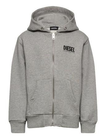 Sgirkhoodzip-Logo Over Sweat-Shirt Grey Diesel