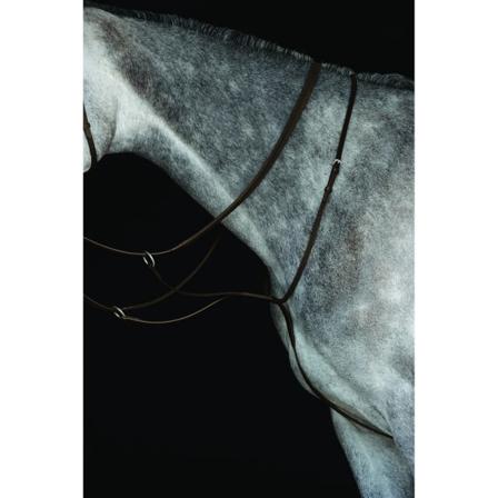 Collegiate Leather Running Martingale Iv Full Brown