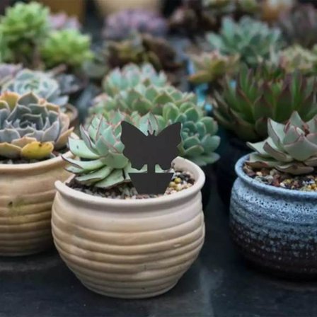 Effektfulla Flugfällor / Insektsfällor (6-Pack)