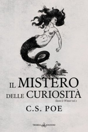 Il mistero delle curiosità. Snow & Winter. Vol. 2 C. S. Poe