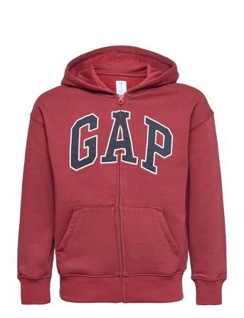 Fl Fz Logo Hood Red GAP