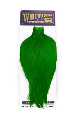 Whiting American Rooster Cape White dyed Highlander Green