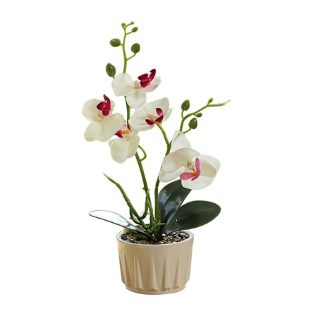 Konstgjord Phalaenopsis orkidéblomma med naturtrogna blad i dekorativa krukor