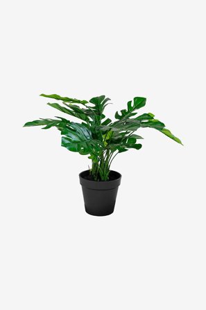 House Nordic - Kunstig plante Monstera. Plante av PE-plast. Ø 40 cm. - Grønn - Kunstige planter & blomster - Fra Homeroom