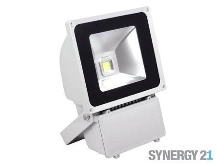SYNERGY -Synergy LED Outdoor Objektstrahler 80W graues Gehäuse - kaltweiß V3
