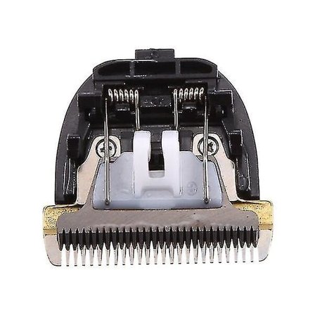 Toptilbud: Udskiftningsblad til Panasonic Er-gp80