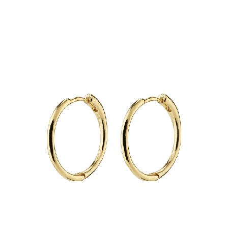 Pilgrim Eanna Earrings Smycken & klockor Dam Guld ONESIZE