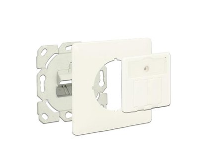 Delock Keystone Wall Outlet - overflatemonteringsboks for nettverk