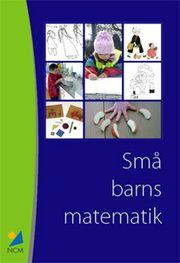Små barns matematik : Erfarenheter från ett pilotprojekt med barn 1 - 5 år och deras lärare