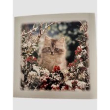 Julkort Med Söt Katt - 15st