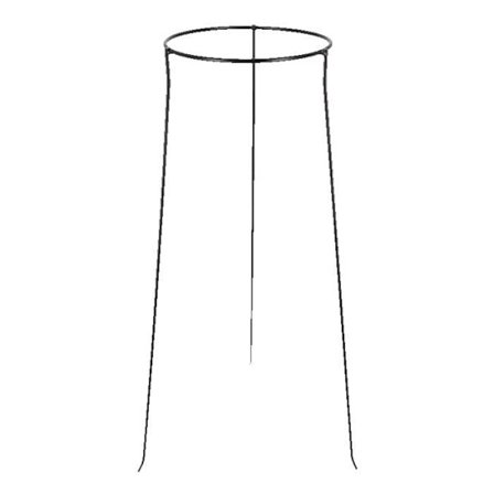 Blomkruka fot - Storlek L - Svart