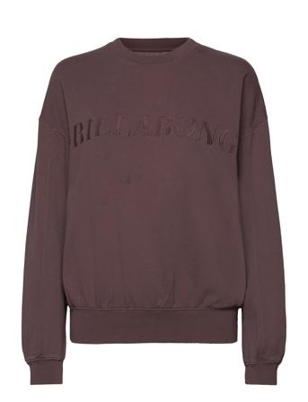Palmin Kendal Crew Sport Women Sport Clothing Sport Sweat-shirts & Hoodies Sport Sweat-shirts Brown Billabong
