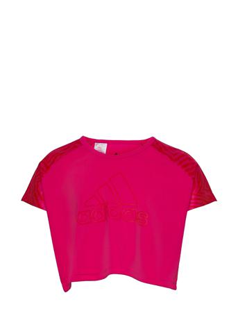 Designed To Move Seasonal Tee W Pink Adidas Performance