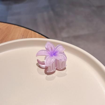 4CM Candy Colored Plumeria Frosted Flower Plate Hårklämma hår A10