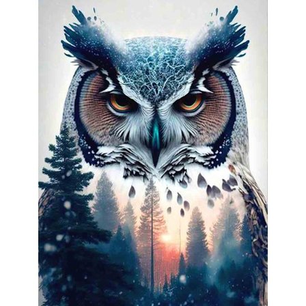 Hård uggla (30 * 40 1 st) Broderidiamantmålning