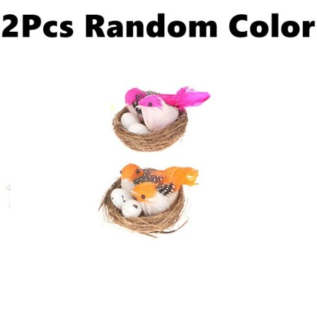 Linnunpesä Linnut Linnunmunat