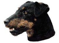Tysk jaktterrier - klistremerker