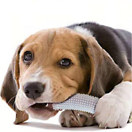 2 STK Gurka Sällskapsdjur Binder Toy Dog Chew Stick