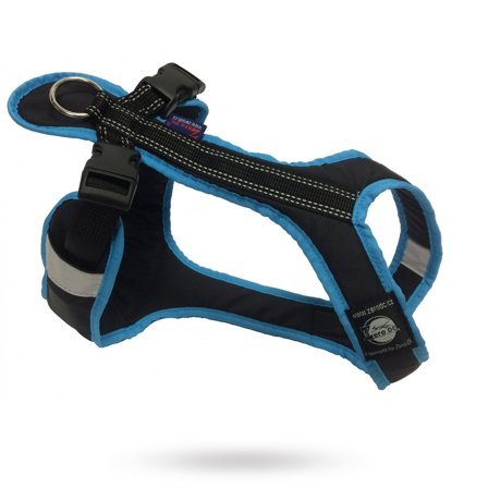 Zero DC - Zero DC Shorter Svart & Turkos - Klassiske hundeseler, step-in, jacket seler, trekkseler, vinterseler & Y-seler på Doggie.no