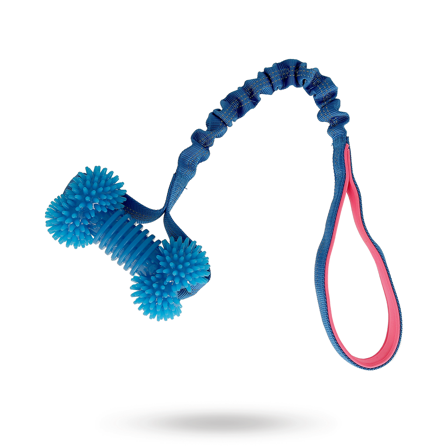 Dogman Valpleksak Ben - Blå/Rosa - Hundleksaker